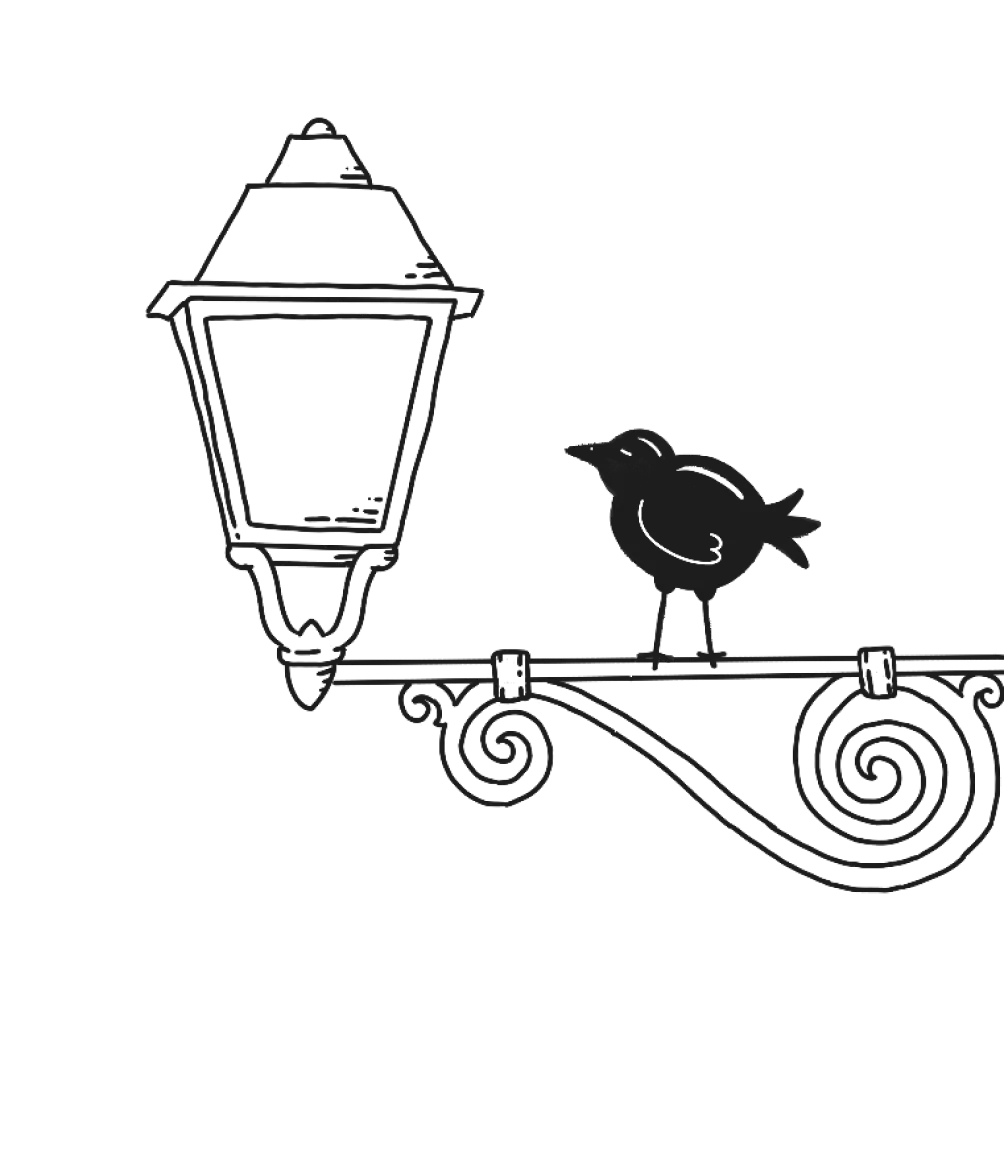 A bird sitting on an old street lamp